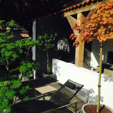 The Old Chestnut Tree Bed & Breakfast