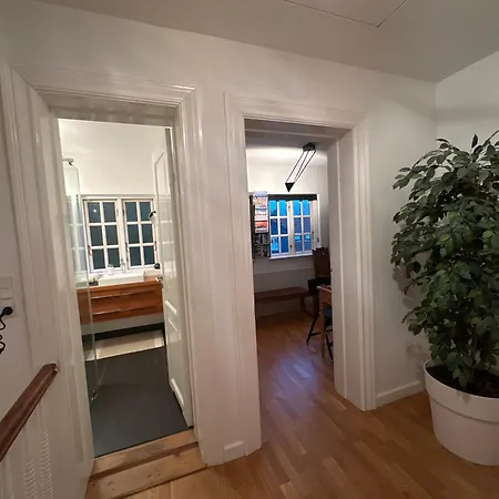 The Old Chestnut Tree Silkeborg