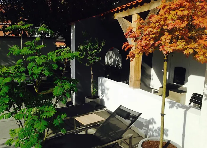 The Old Chestnut Tree Bed & Breakfast