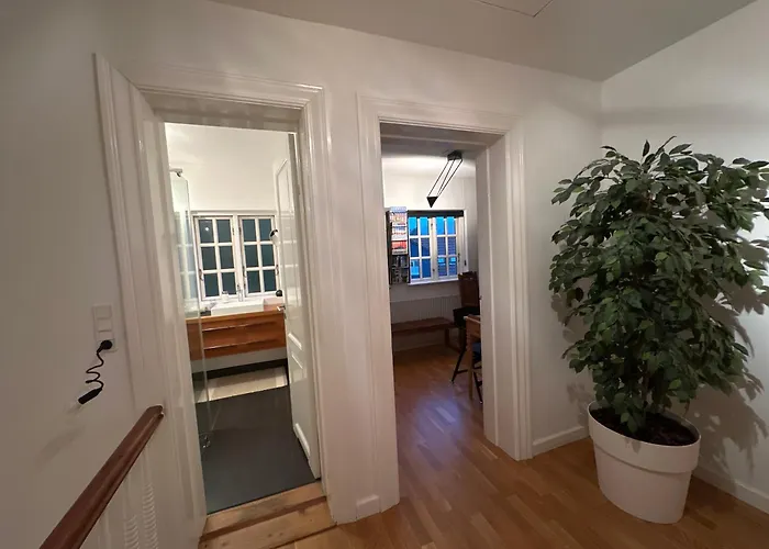 The Old Chestnut Tree Silkeborg